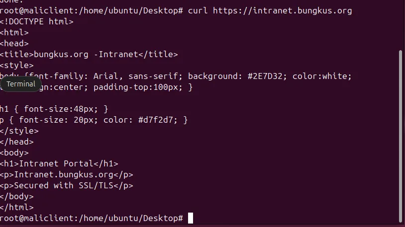 curl output returning the intranet HTML page over HTTPS