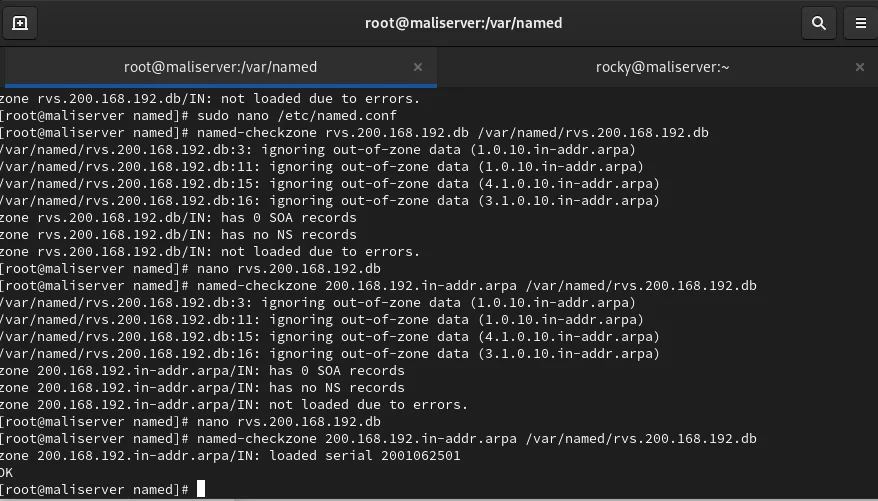 named-checkzone output with out-of-zone data and missing SOA errors