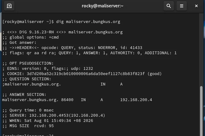 dig output returning the address of maliclient.bungkus.org